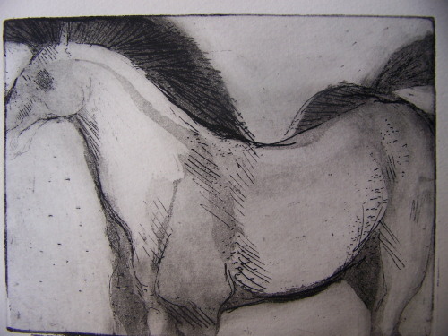 Plate 3 - Horse Watching - W.jpg